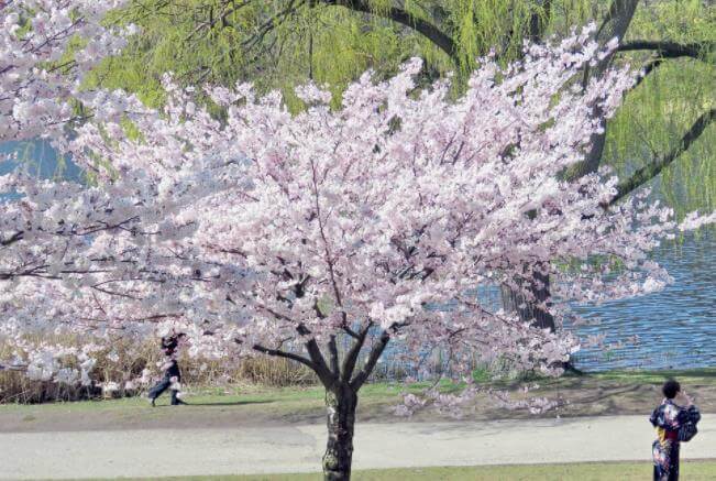 2020年申请加拿大留学需要了解哪些注意事项