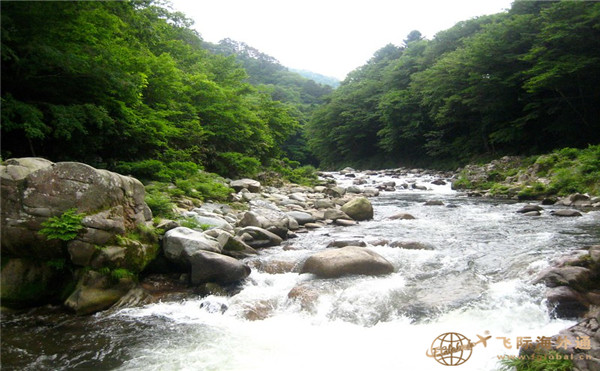 山林里的河流