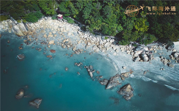 河流、石头和树林