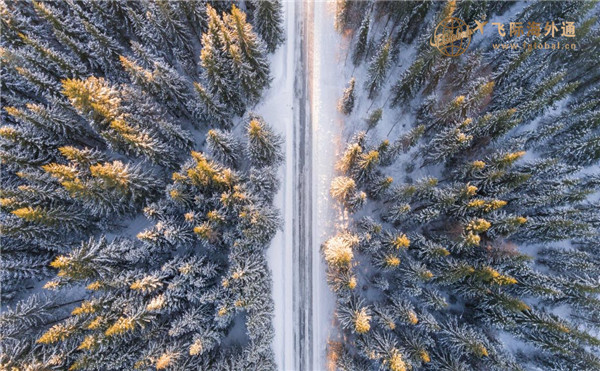 大雪下的森林和公路
