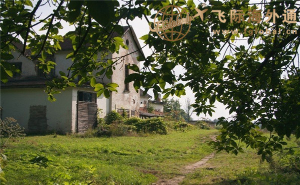 草坪、树木和房屋