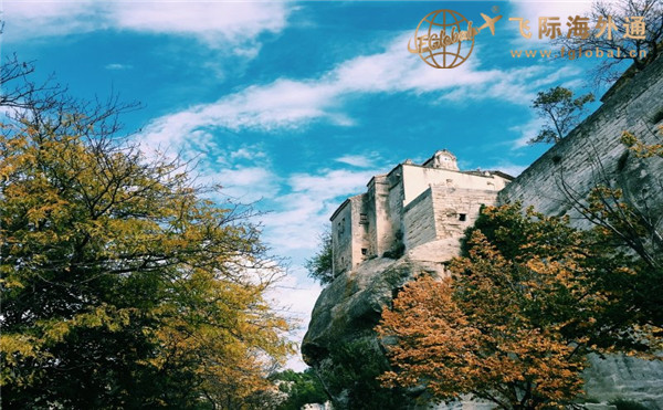 树木环绕的建筑