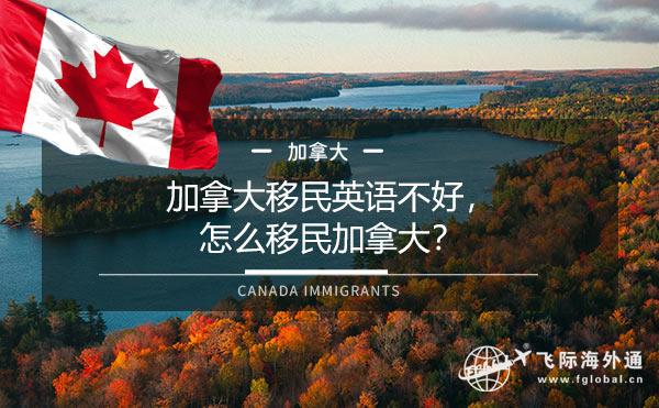 加拿大移民