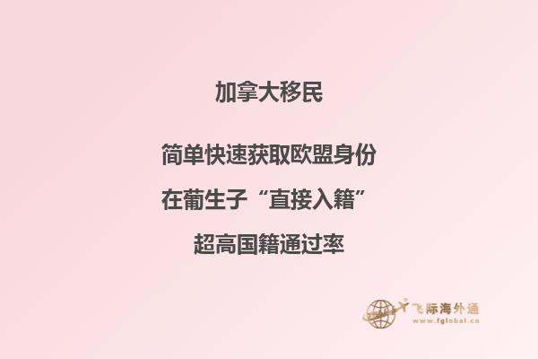 加拿大安省投资移民条件及其优势,你想知道的都在这里!
