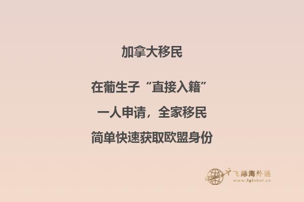 最受欢迎的加拿大留学专业,这些专业更好!
