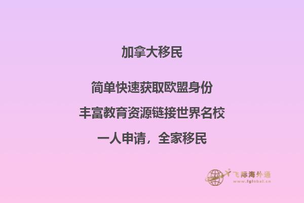 最受欢迎的加拿大留学专业,这些专业更好!