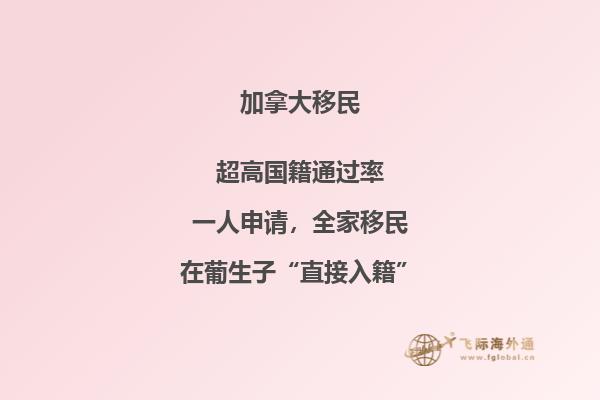 加拿大魁北克技术移民费用与申请流程,申请人你懂吗?