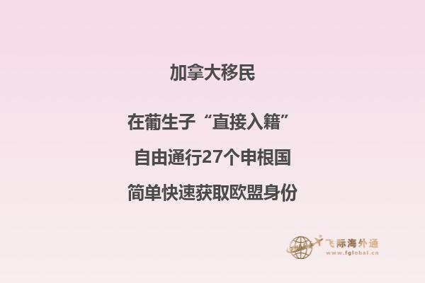 加拿大投资移民政策如何