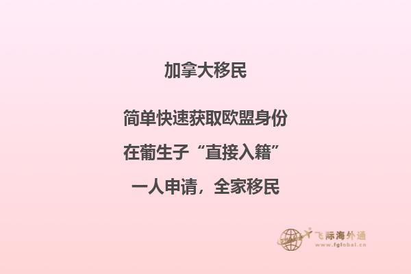 移民加拿大失败原因,不要再犯这些错误了!