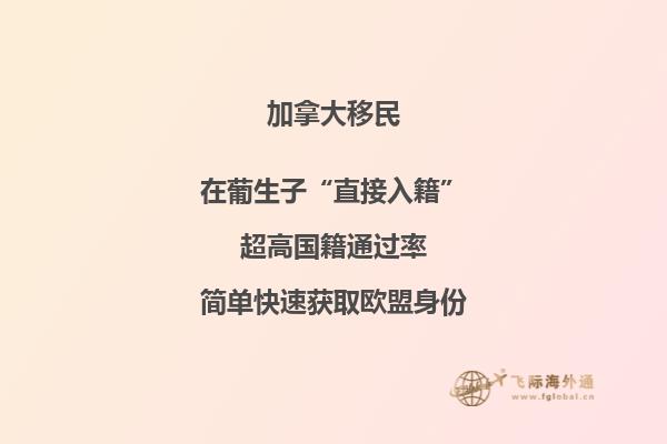 加拿大最受欢迎的专业，你选对专业了吗？