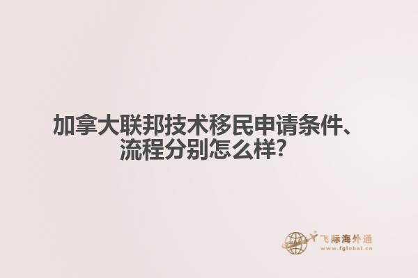 加拿大联邦技术移民申请条件