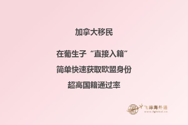 加拿大魁省投资移民适合哪些人,申请周期要多久?