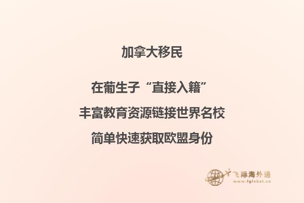 加拿大魁北克省投资移民难不难,卡住了哪些人?