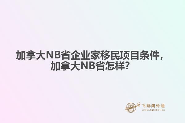 加拿大NB省企业家移民项目条件，加拿大NB省怎样？