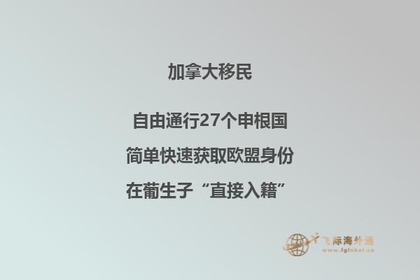 加拿大留学奖学金如何申请，有哪些可以申请的奖学金？