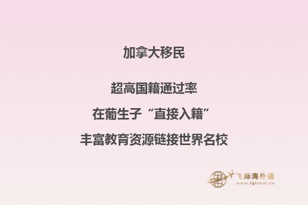 加拿大留学奖学金如何申请,有哪些可以申请的奖学金?