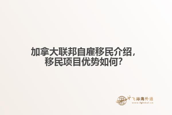 加拿大联邦自雇移民介绍