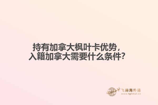 持有加拿大枫叶卡优势