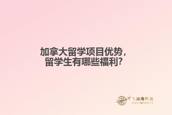 加拿大留学项目优势，留学生有哪些福利？