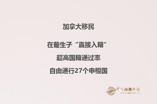 申请加拿大移民失败的原因是什么