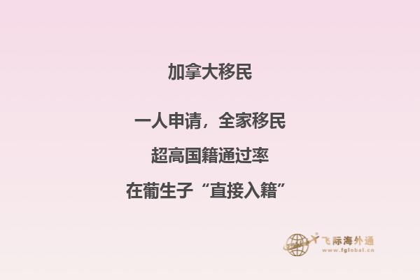 移民加拿大如何做生意
