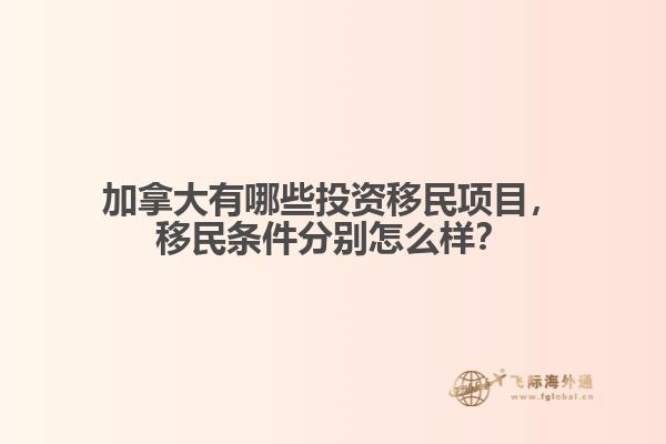 加拿大有哪些投资移民项目
