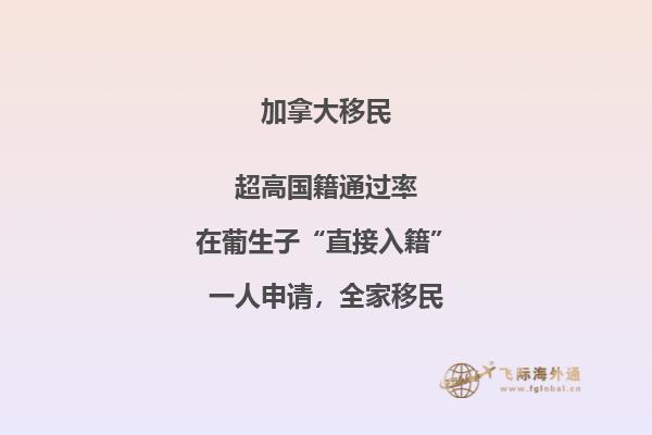 加拿大安省雇主担保移民申请流程复杂吗,费用多少?