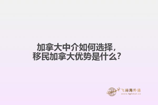 加拿大中介如何选择，移民加拿大优势是什么？