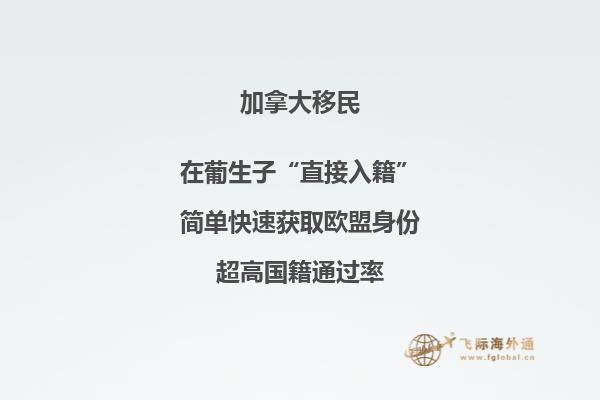 加拿大受欢迎的移民项目有哪些