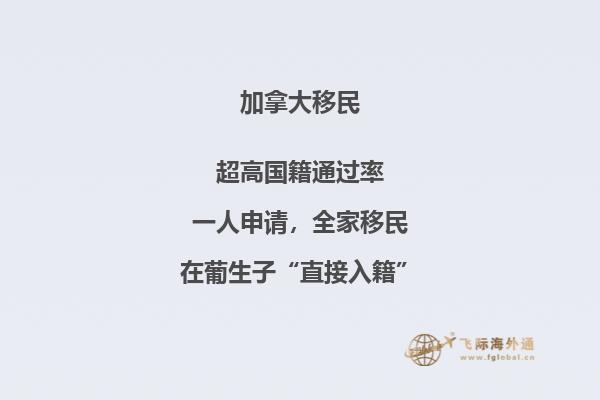 加拿大投资移民签证为何被拒