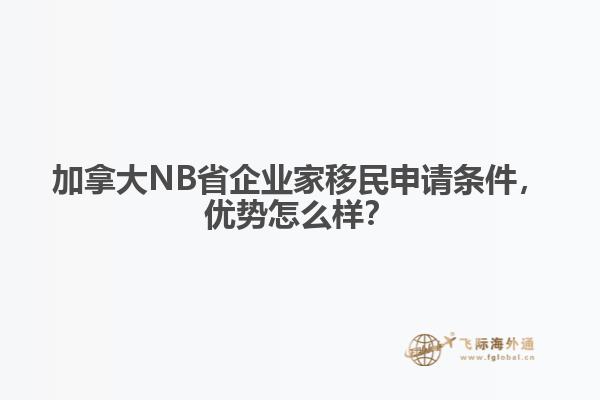 加拿大NB省企业家移民申请条件，优势怎么样？