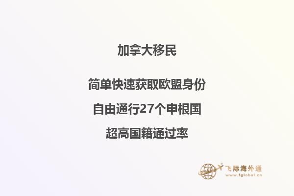 加拿大NB省企业家移民申请条件,优势怎么样?
