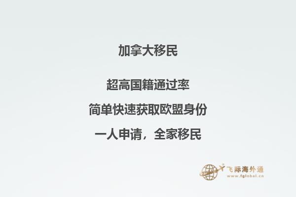 加拿大留学移民专业选择哪些,这些专业更容易申请!