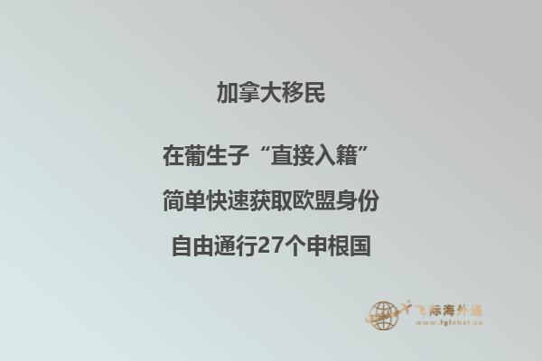 加拿大枫叶卡为何如此受欢迎