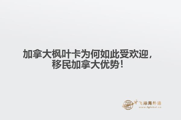 加拿大枫叶卡为何如此受欢迎