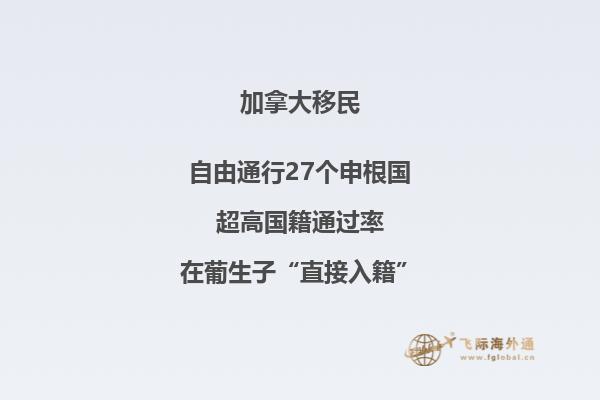 加拿大枫叶卡为何如此受欢迎