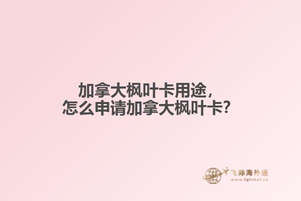 加拿大枫叶卡用途