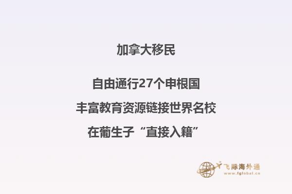 2019移民加拿大项目有哪些