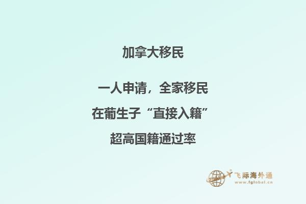 怎么申请加拿大技术移民