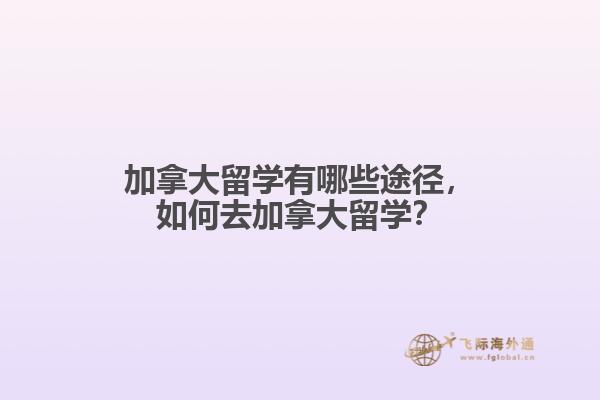 加拿大留学有哪些途径，如何去加拿大留学？