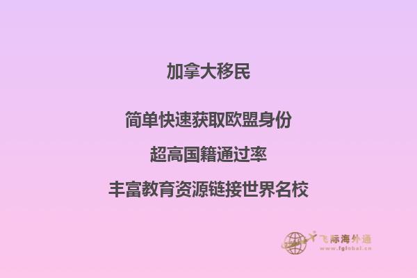 加拿大留学有哪些途径