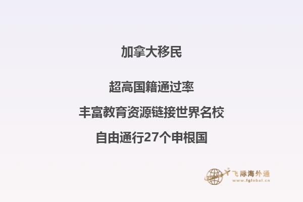 加拿大留学有哪些途径