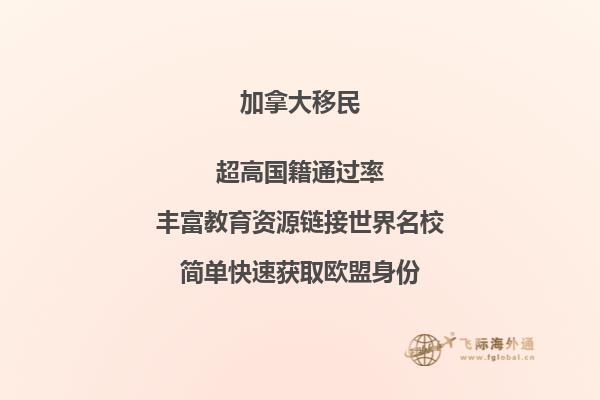 华人移民加拿大真实生活案例