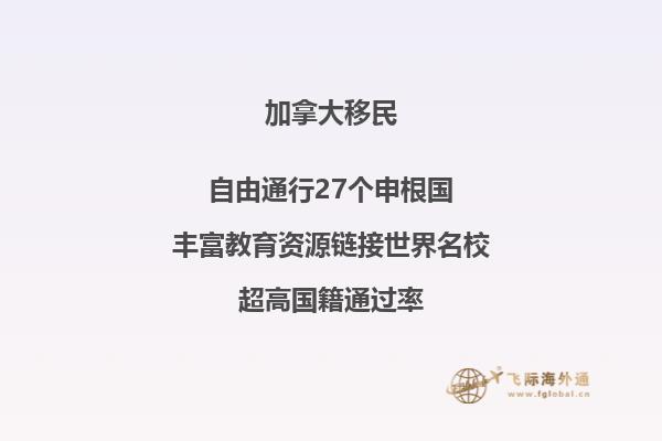 加拿大移民项目为什么受欢迎