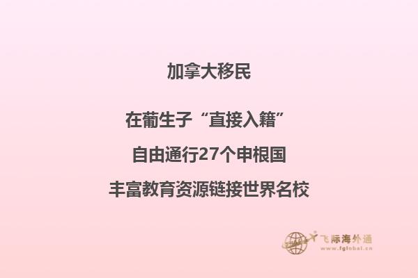 加拿大最受欢迎的移民项目
