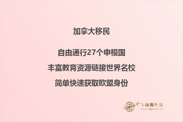 加拿大热门留学专业推荐
