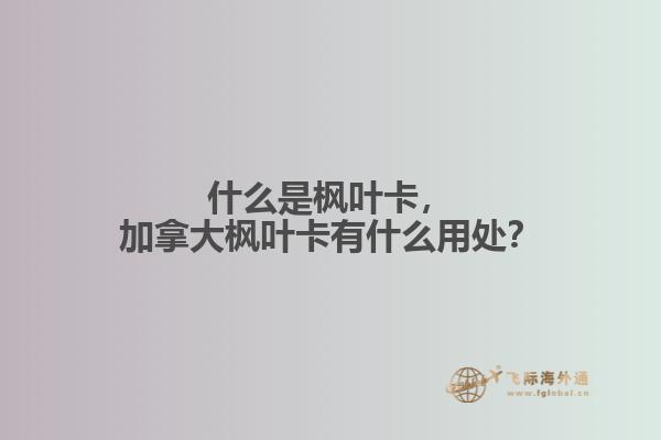 什么是枫叶卡，加拿大枫叶卡有什么用处？