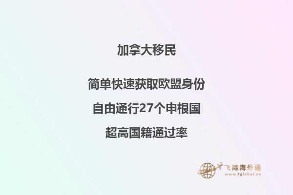 加拿大留学项目