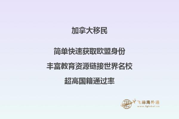 加拿大联邦技术移民申请条件是什么,优势怎么样?