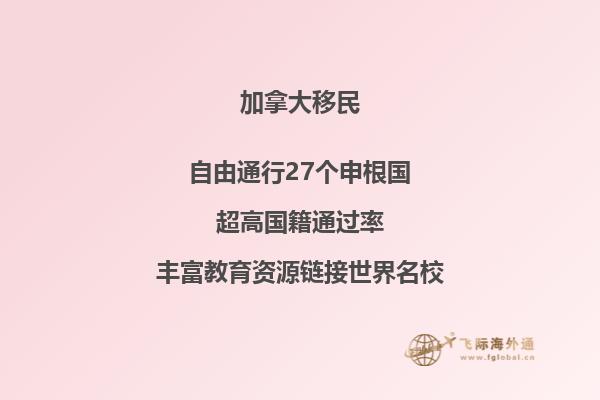 加拿大投资移民流程